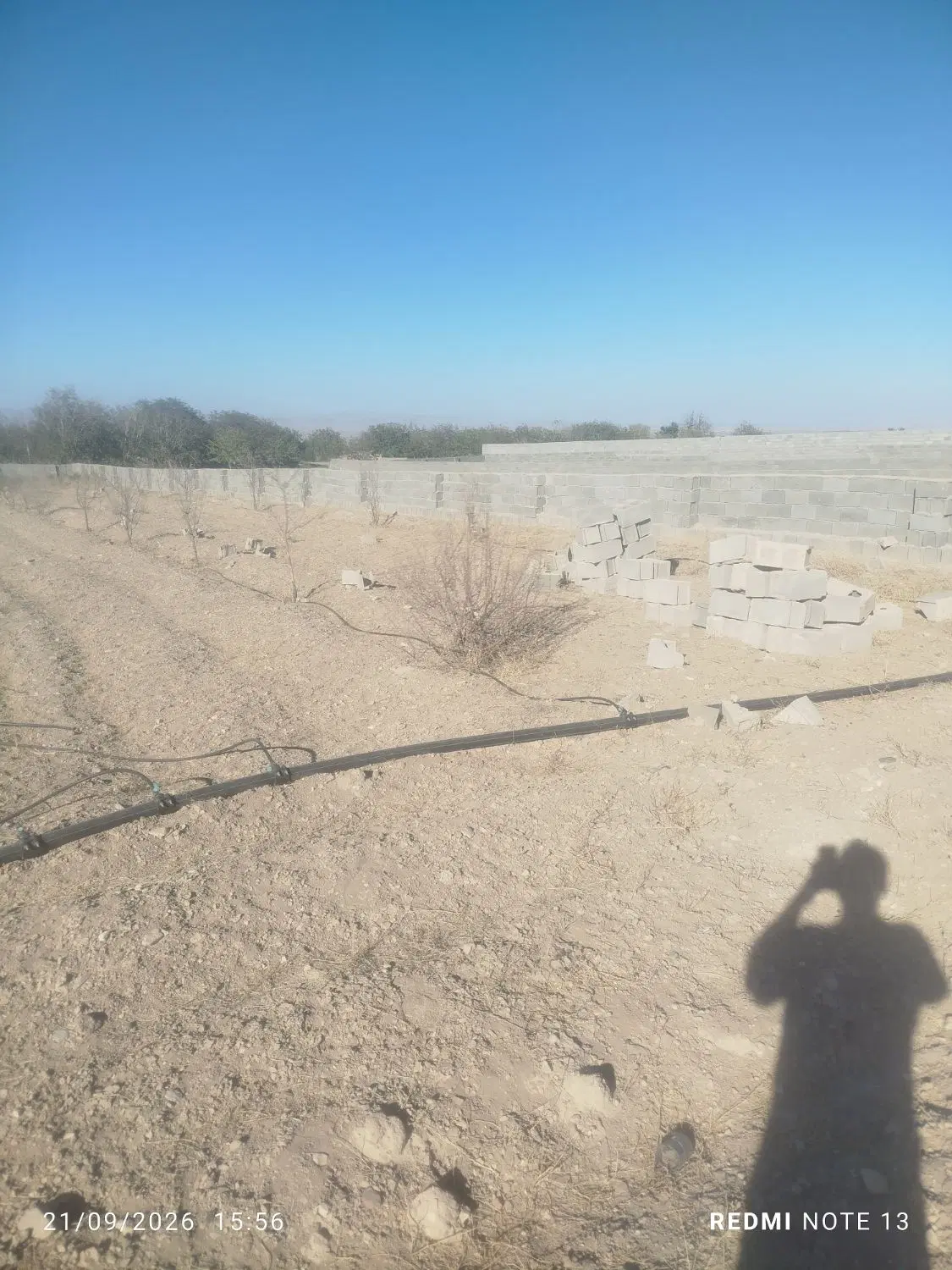 باغ در روستای ورده در نزدیکی ساوه