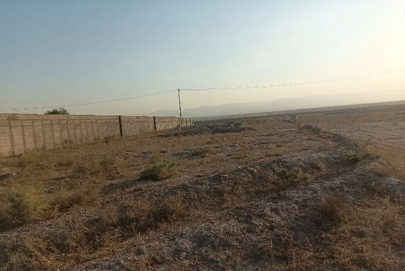 زمین کشاورزی ۲.۵ هکتار