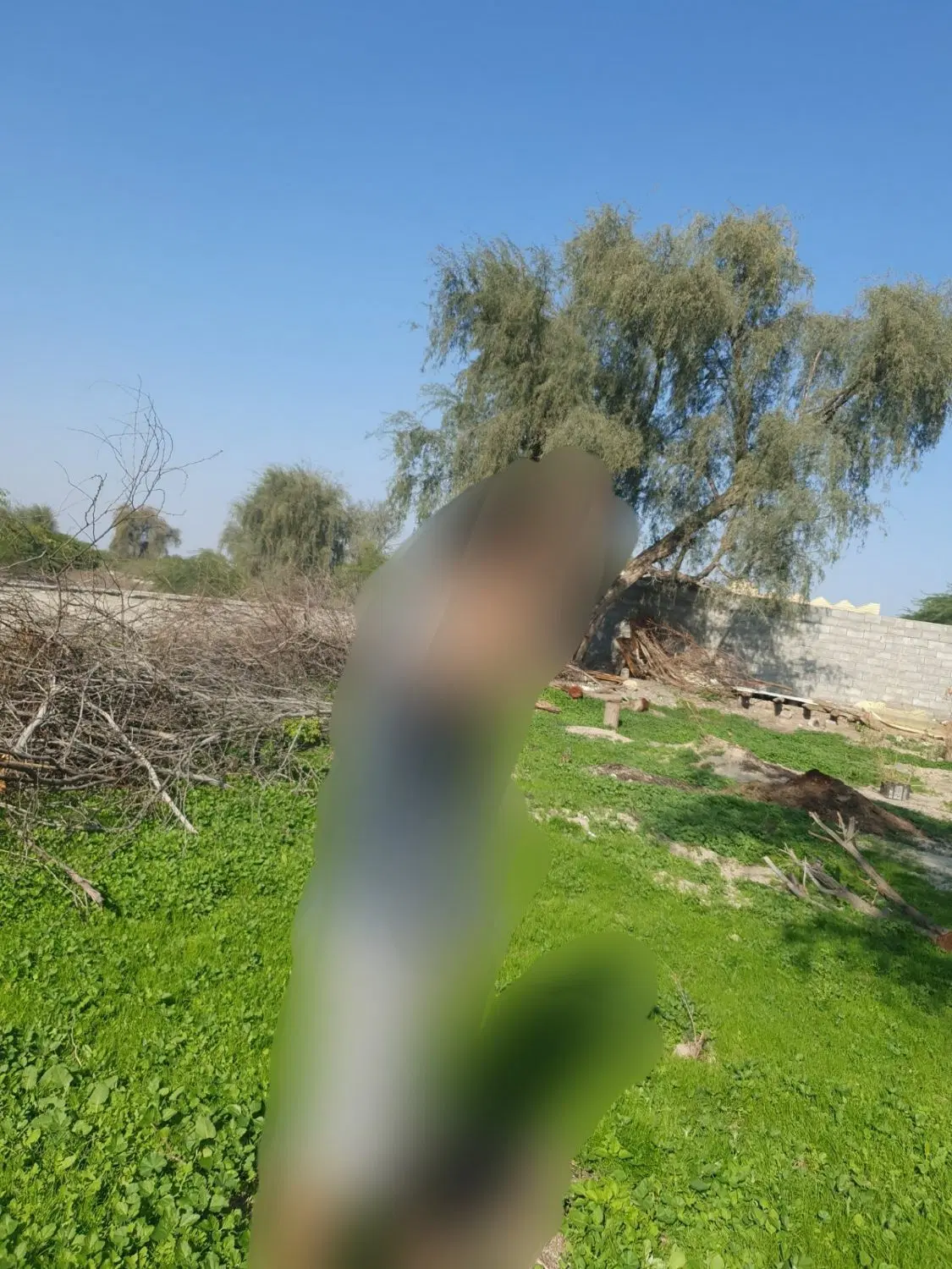 ۴۰۰متر زمین فروشی