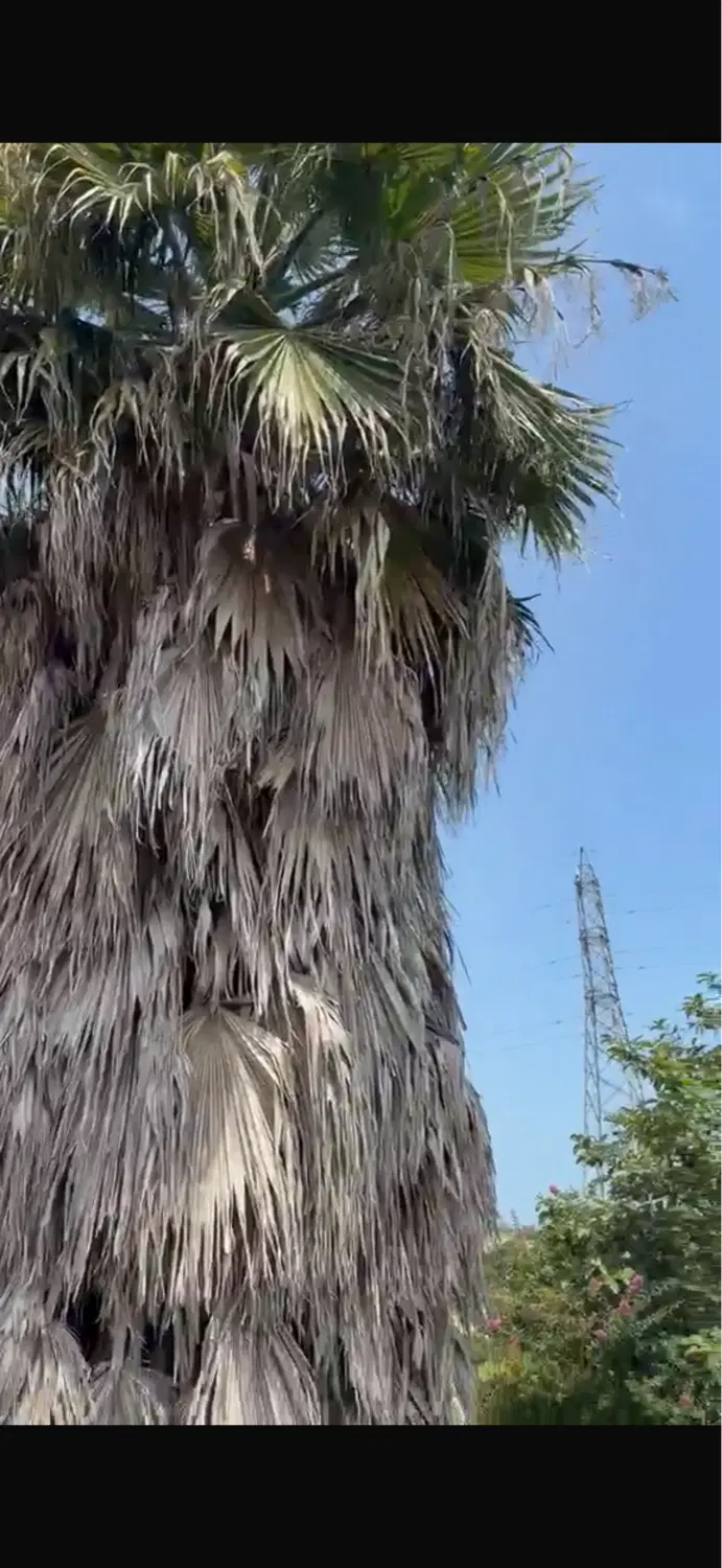 چابکسر روبه روی هتل اهوان
