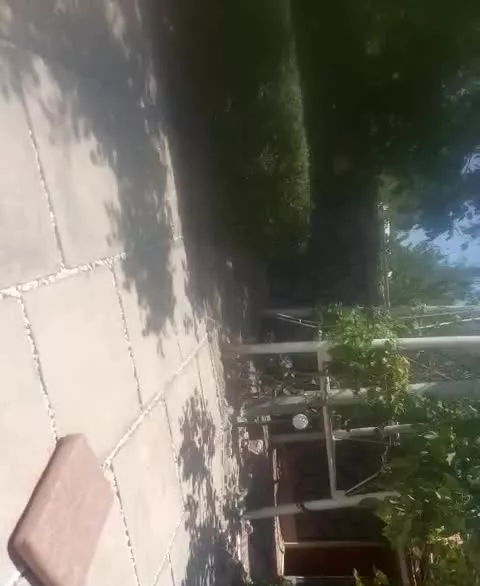 ویلای کردان خ دهکده