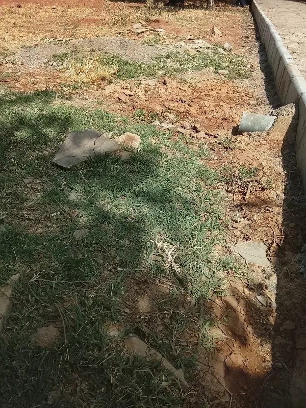 زمین مسکونی 225 متری
