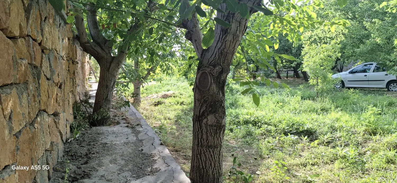 فروش یک قطعه باغ کشاورزی محصور