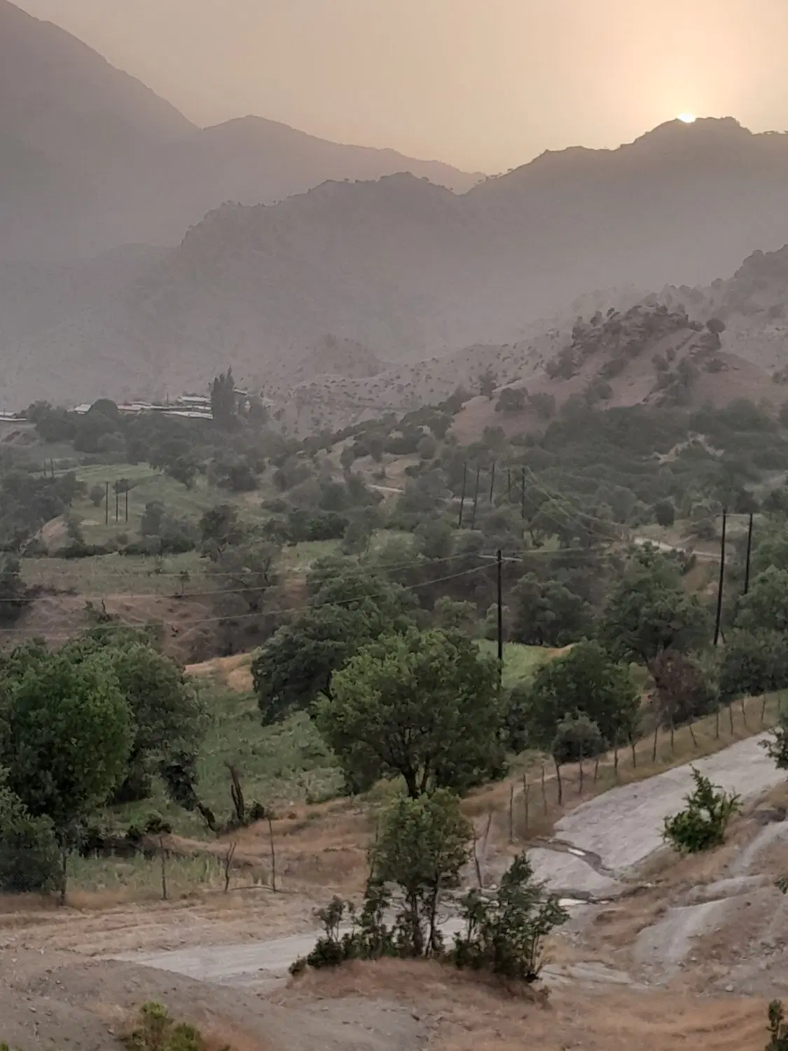 زمین باغی
