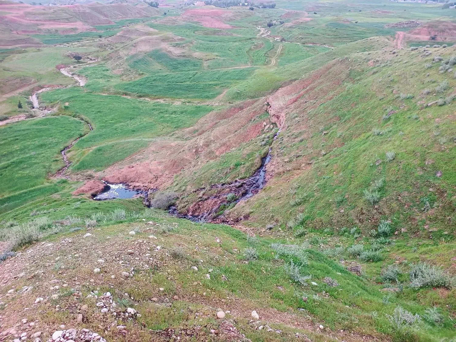 زمین مسکونی کوی حافظ