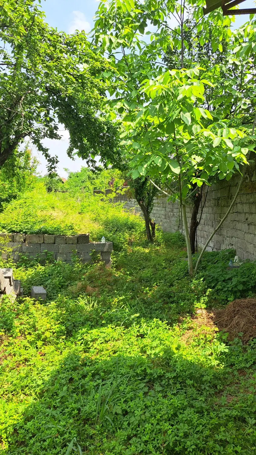 ۴۰۰۰ متر زمین مسکونی لشت‌نشا سند تک‌برگ