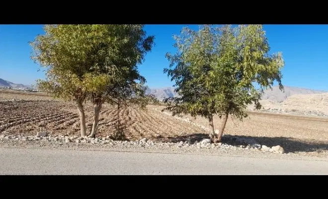 زمین خونه باغ درشهر ایذه