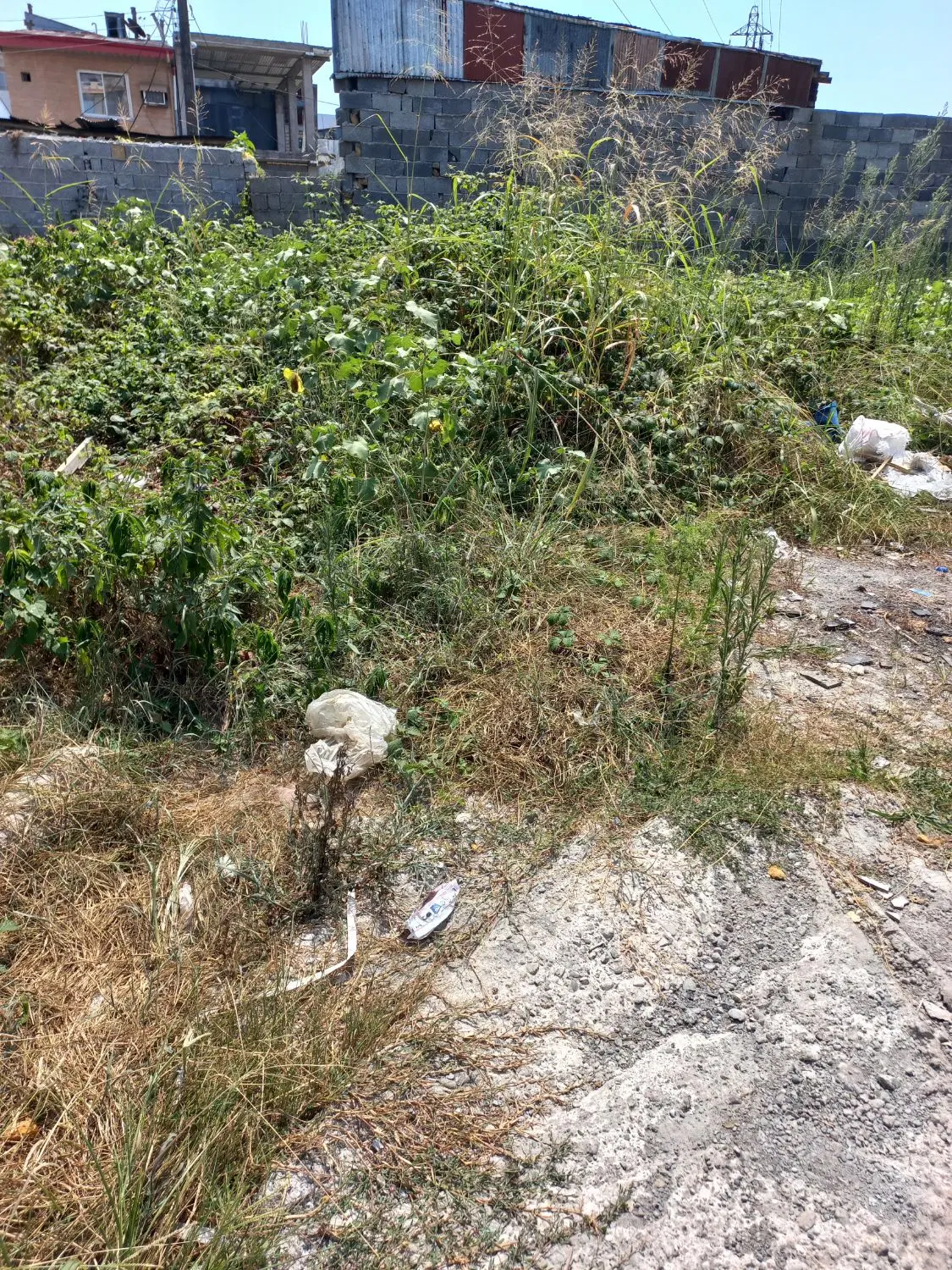 فروش زمین