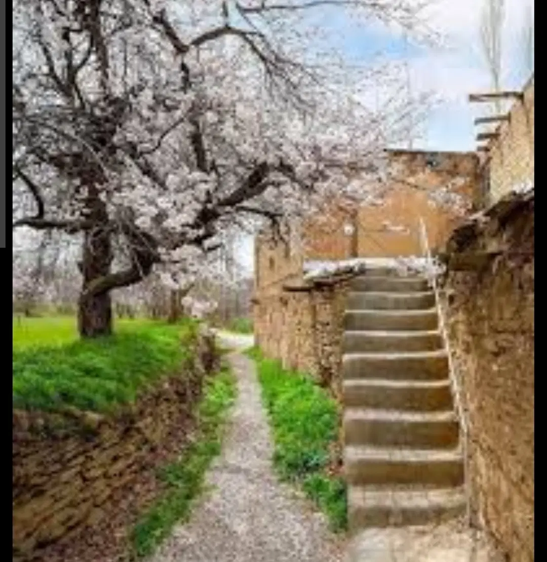 زمین فروشی منطقه خوش آب و هوای سیرمند