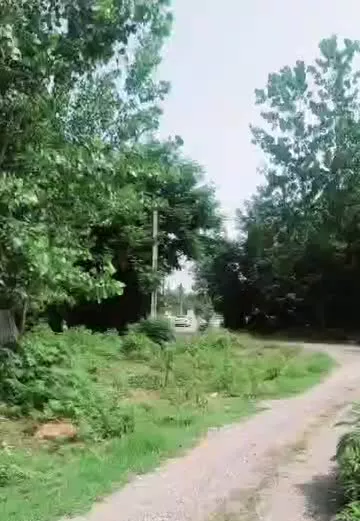 زمین مسکونی با سند تک برگ روستای سده کوچصفهان