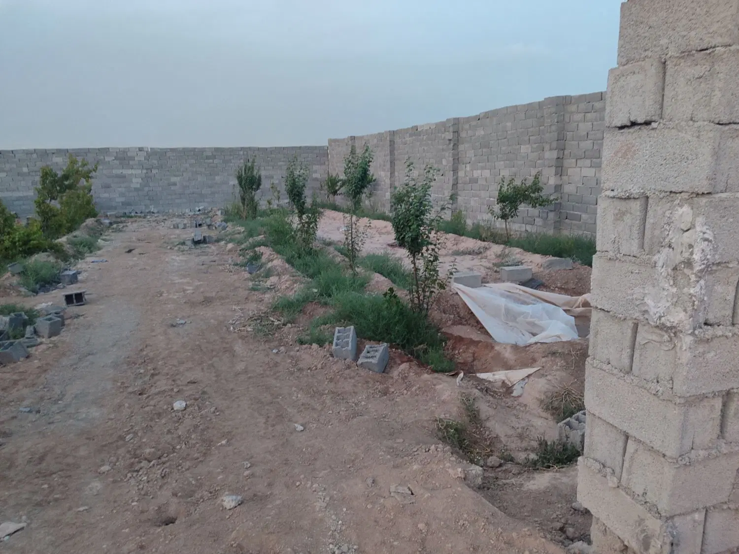 باغچه 265 متر با سند تک برگ