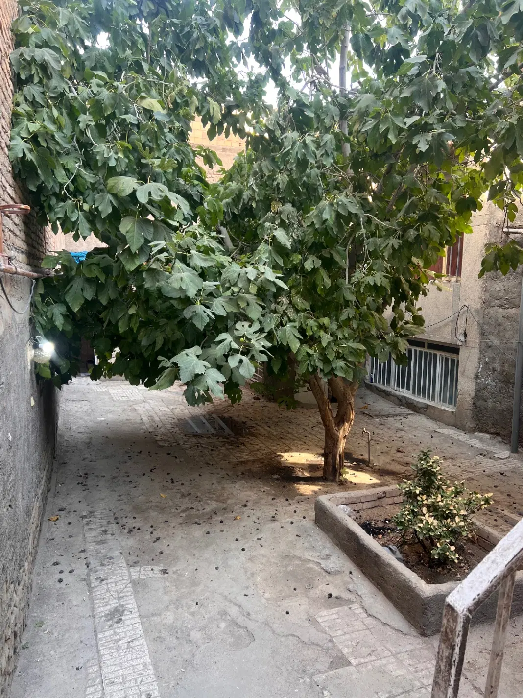فروش ملک )خانه)صیاد ۶۵ خیابان صابر