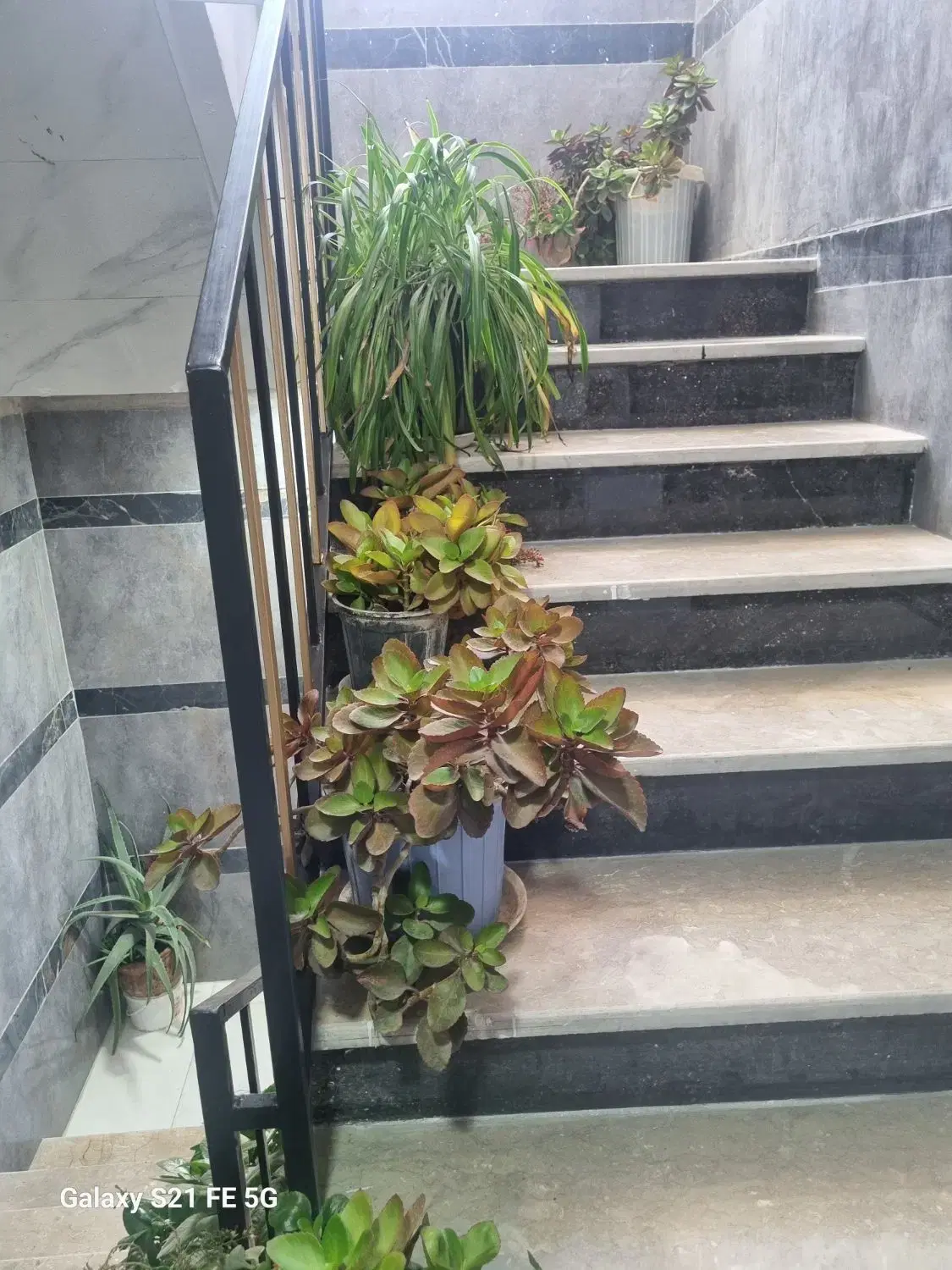 اجاره سوئیت ساعتی روزانه هفتگی ماهانه