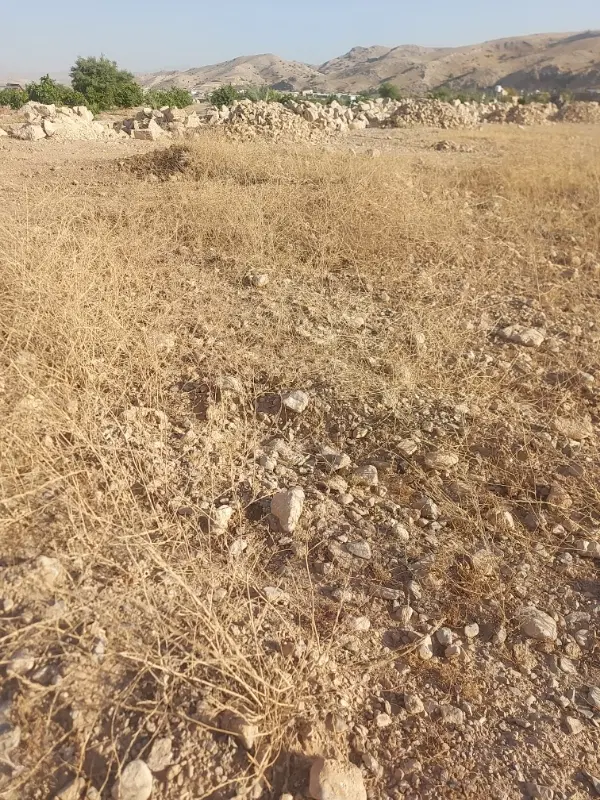 فروش زمین خونه باغ