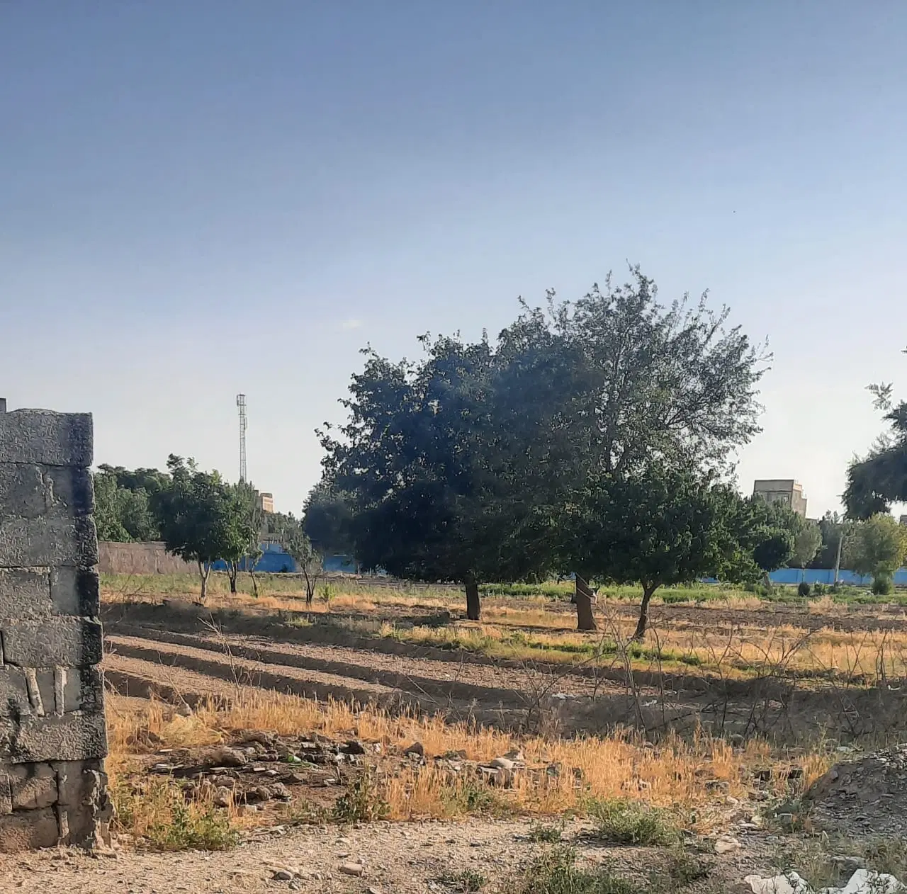 زمین ۱۰۰ متری