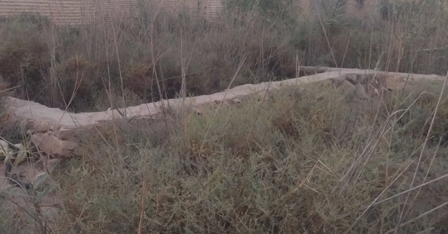 زمین واقع در ذوالفقاری