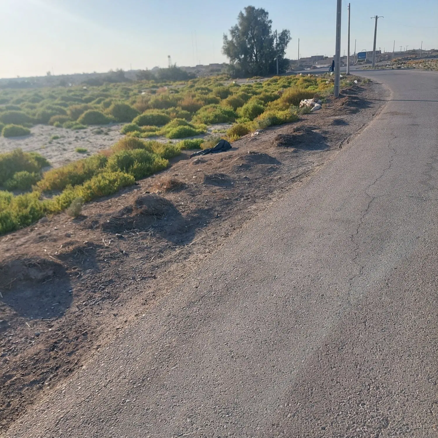 زمین کشاورزی فروشی