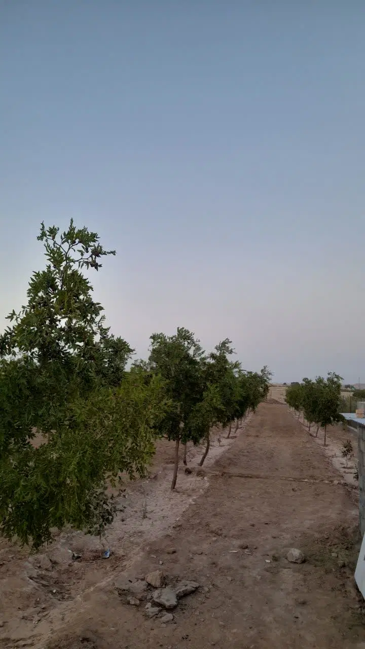 خانه باغ معصوم آباد معاوضه با خانه، زمین یا ماشین
