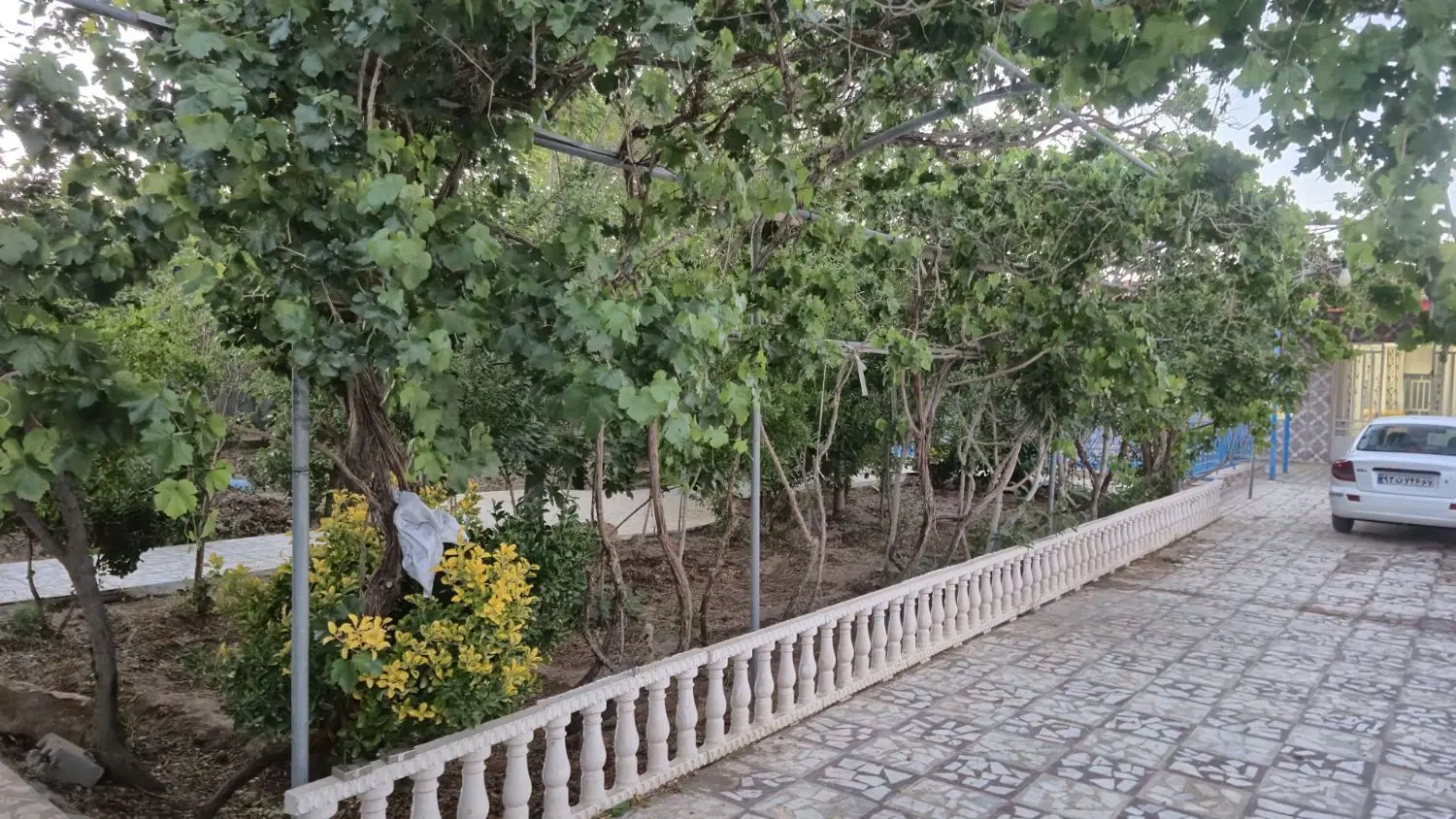 فروش باغ محدوده گلدشت قلعه سفید کوجه ماهان
