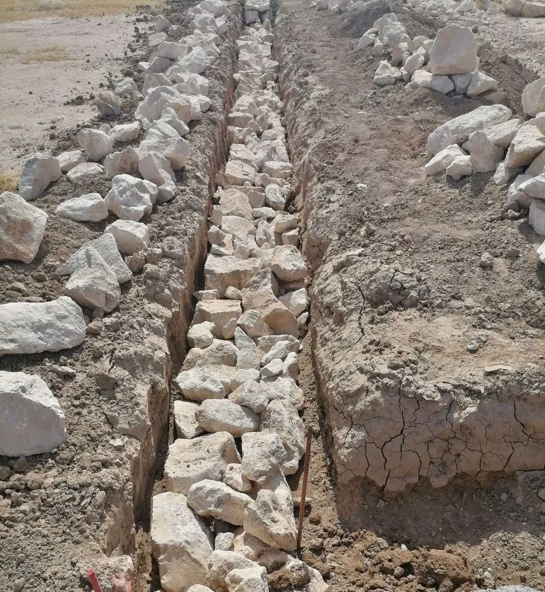روستای احمدی،سند دار سبزتک برگ ، ۲۰۰۰ متری ،6دانگ