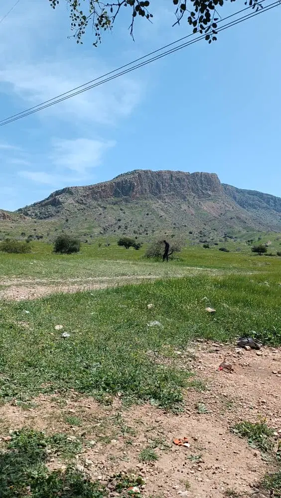 فروش زمین