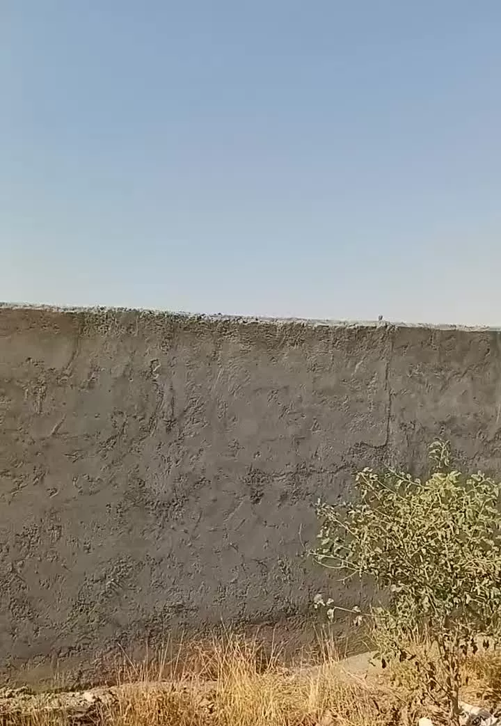 زمین ۵۶۱مترنارسیس