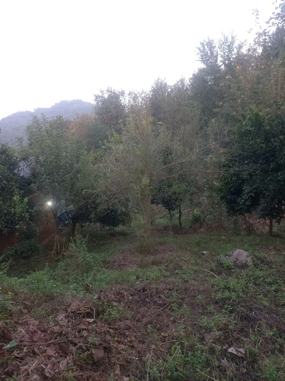 دو قطعه زمین ۳۵۵ متری و ۴۵۰ متری