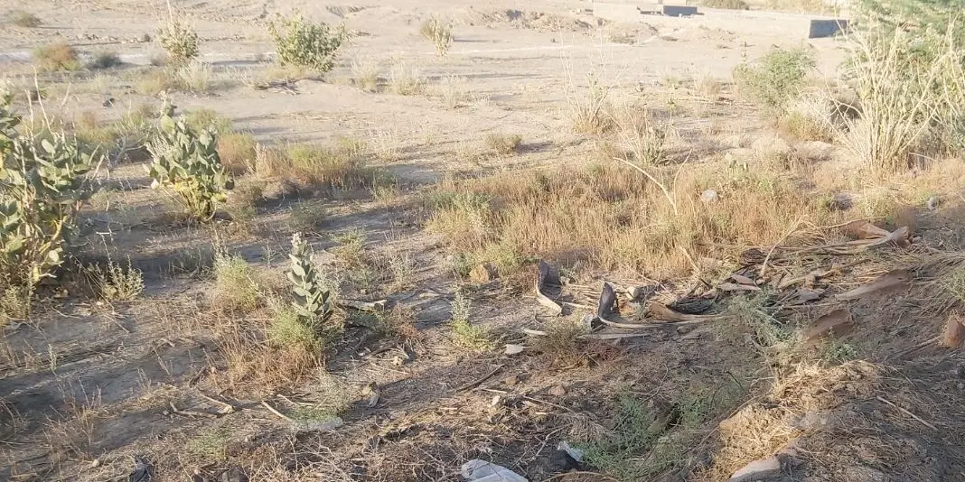 زمین مسکونی بلوار خاتم