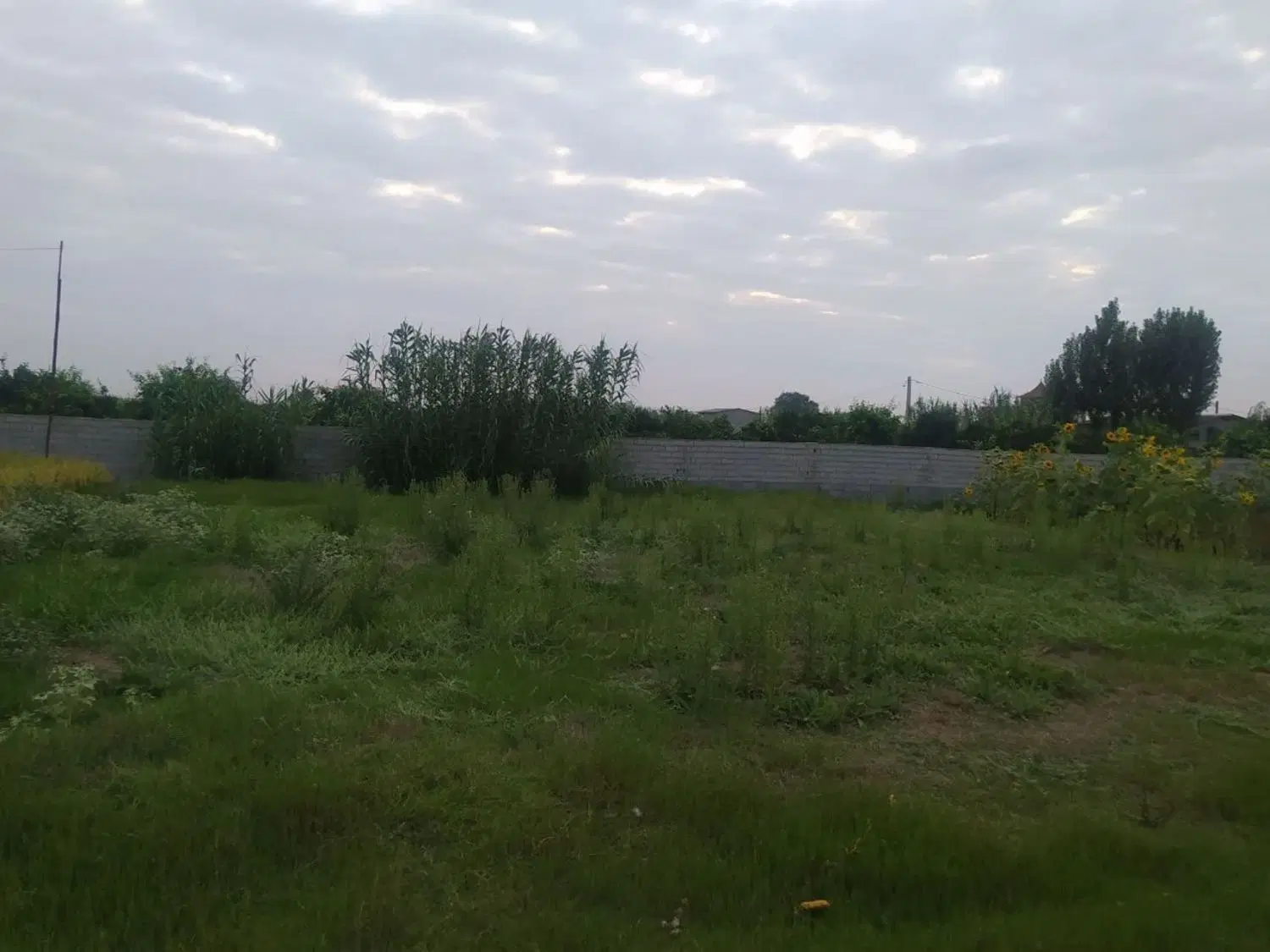 زمین دو طرف دیوار