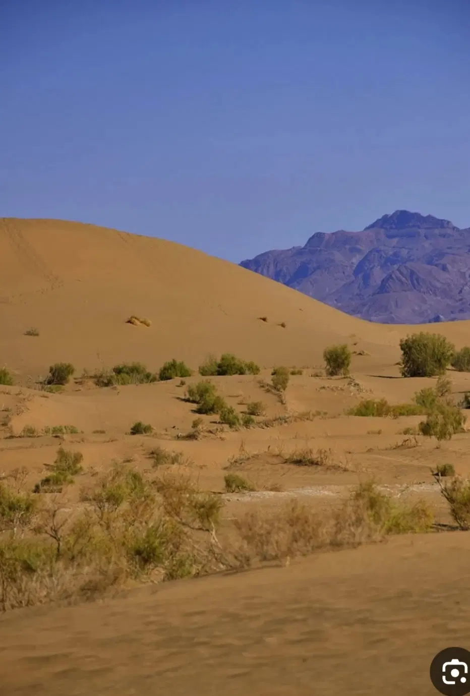 سهام شرکت همت صفا