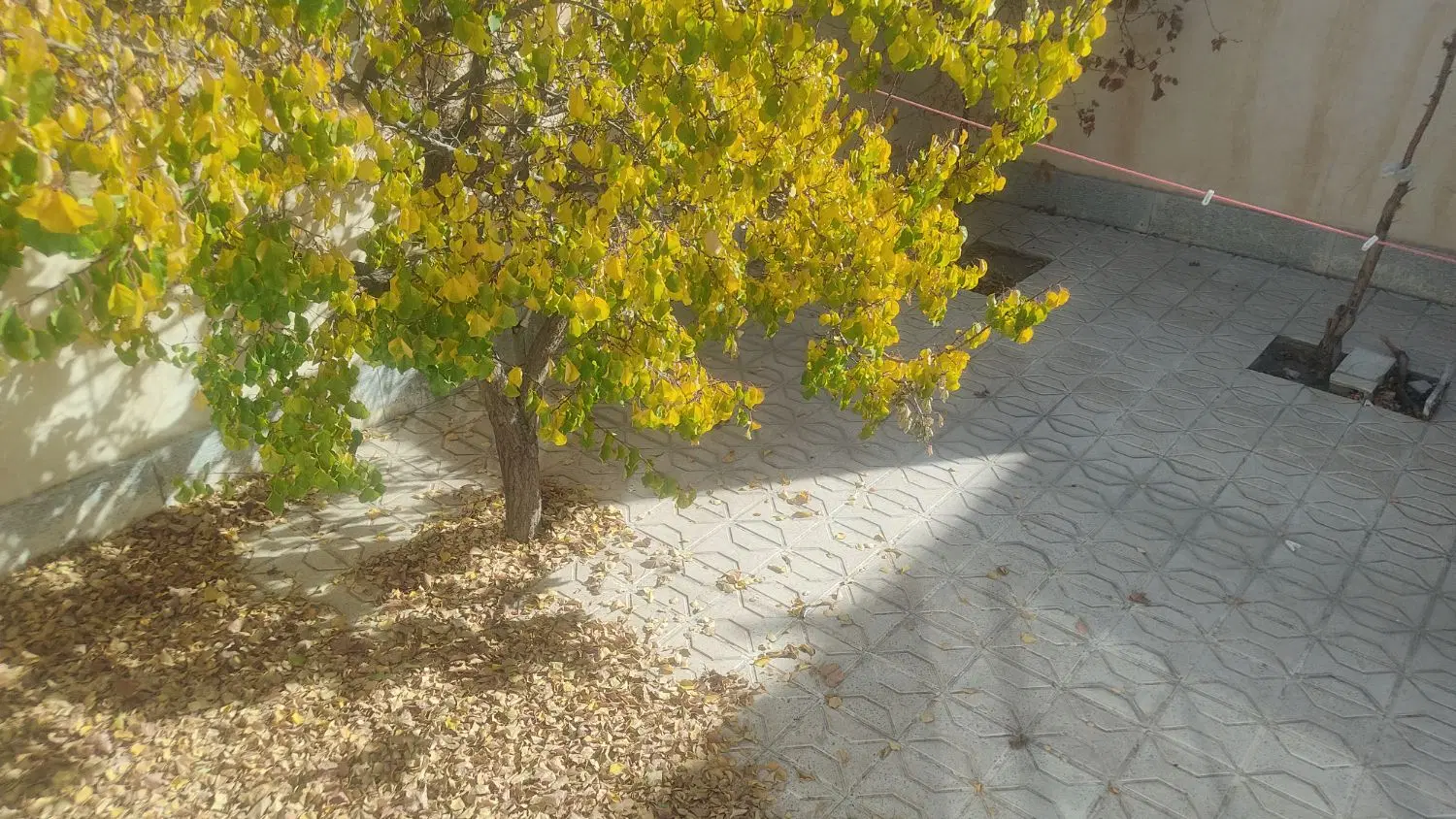 اجاره  روزانه واحد ویلایی یک خواب با پارکینگ