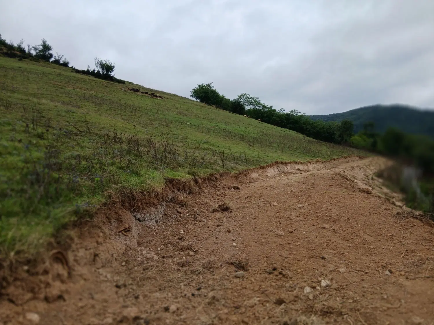چند پلاک زمین در روستای جورجاده