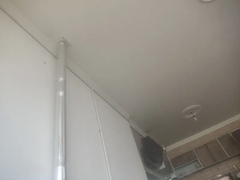 همخونه