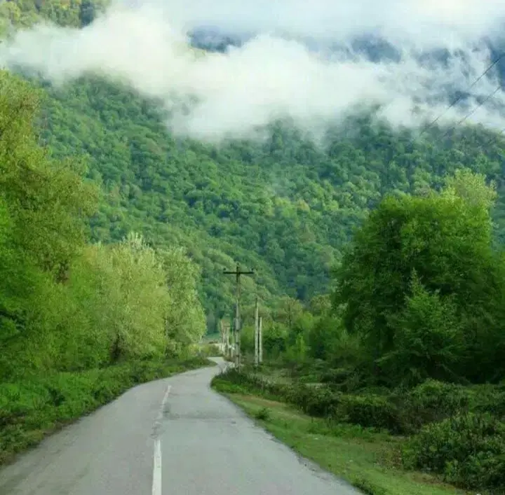 سوئیت در دل طعبیت(بامجوز رسمی میراث فرهنگی)