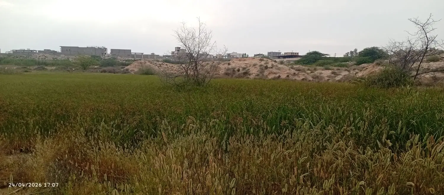 زمین ۱۰۰متری تنگک۳