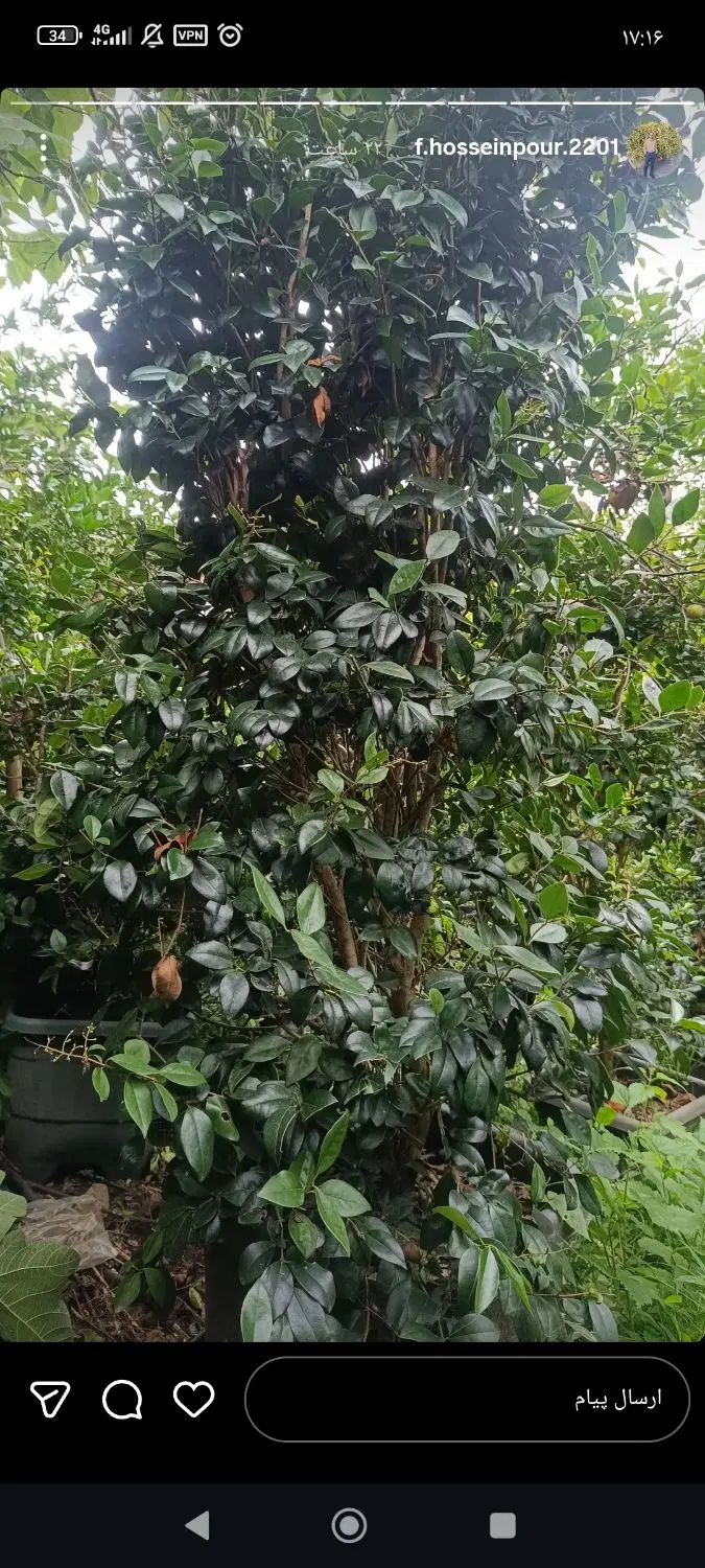 باغ با کاربری مسکونی