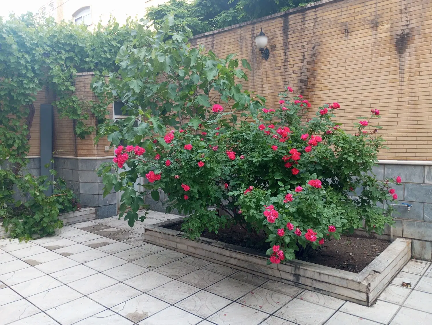 فروش ملک مسکونی تجاری بصورت مزایده