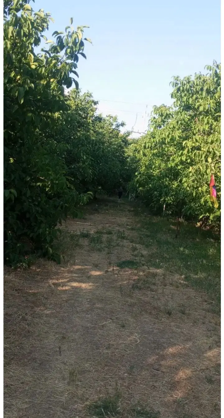 زمین آبی ۲۰۰۰متر