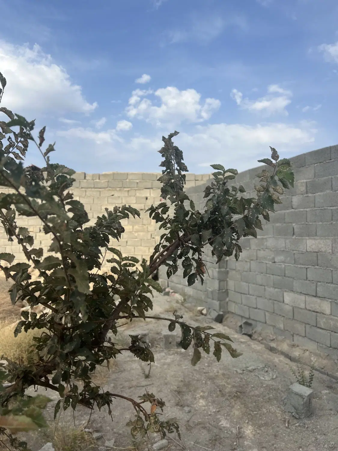 چهار دیوار (سندتکبرگ)۲۹۰ متر_آب،برق