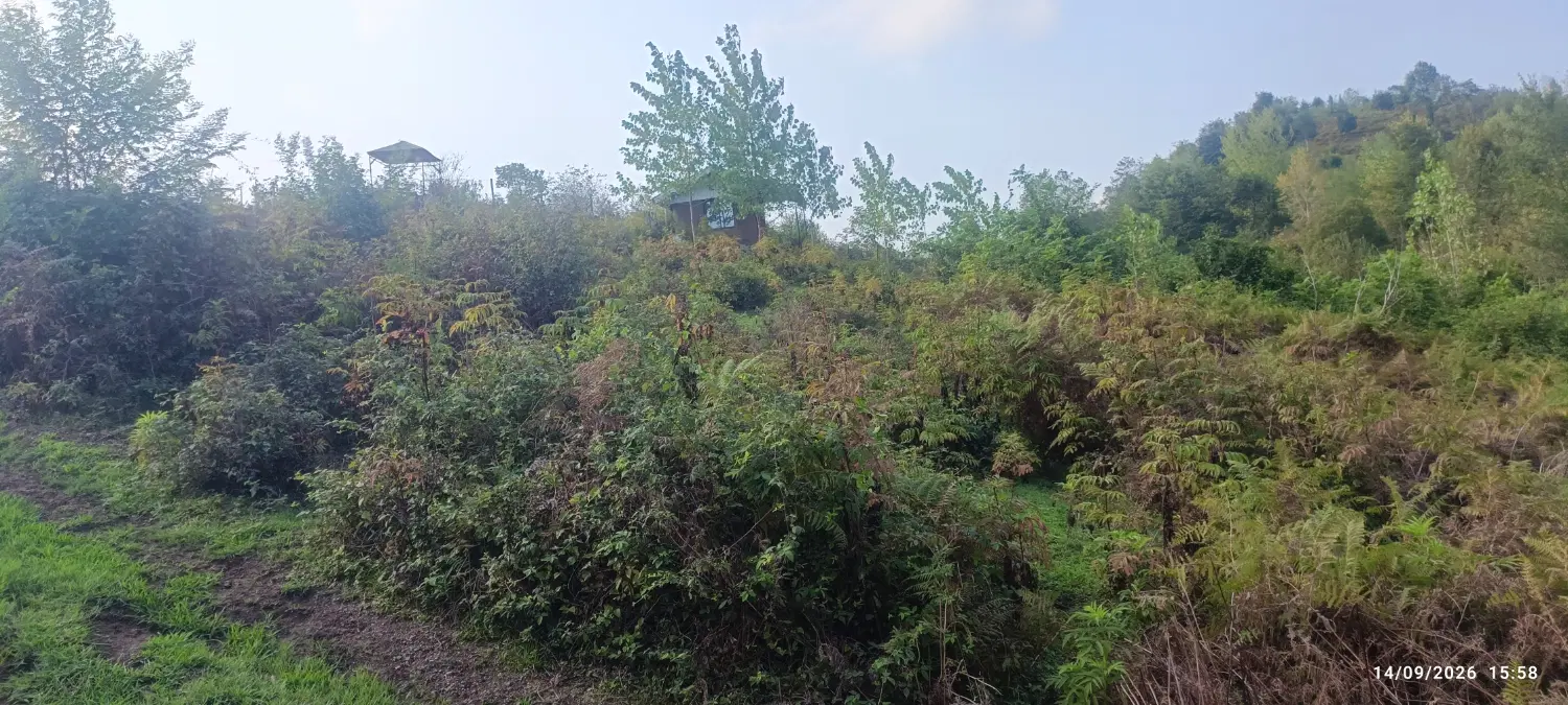 زمین داخل طرح هادی روستای اشیان