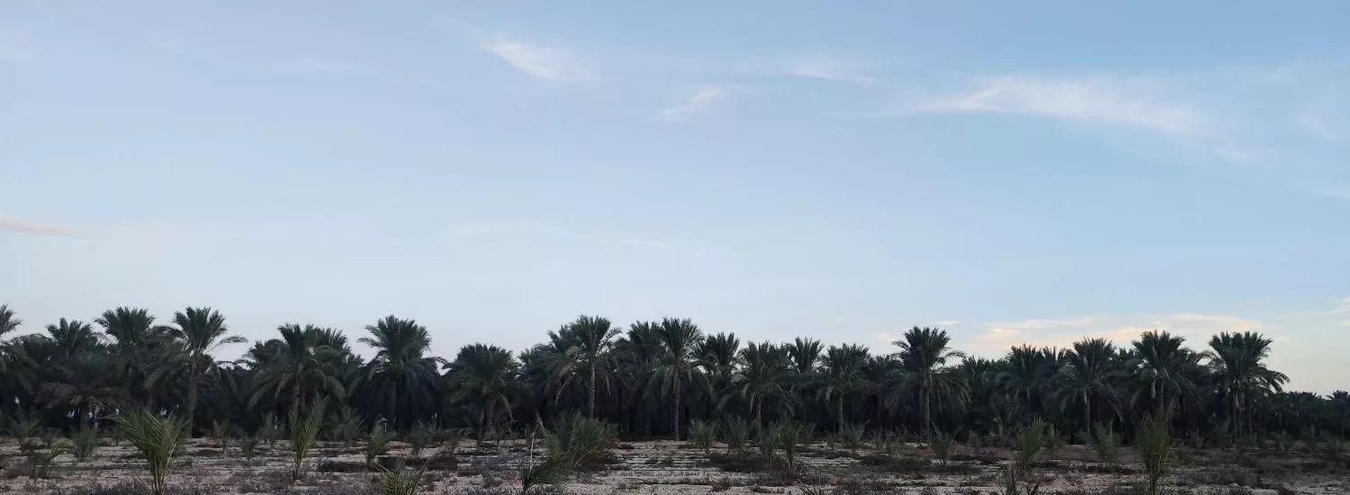 فروش زمین ۱۹ هکتار مسکونی کشاورزی مزایده