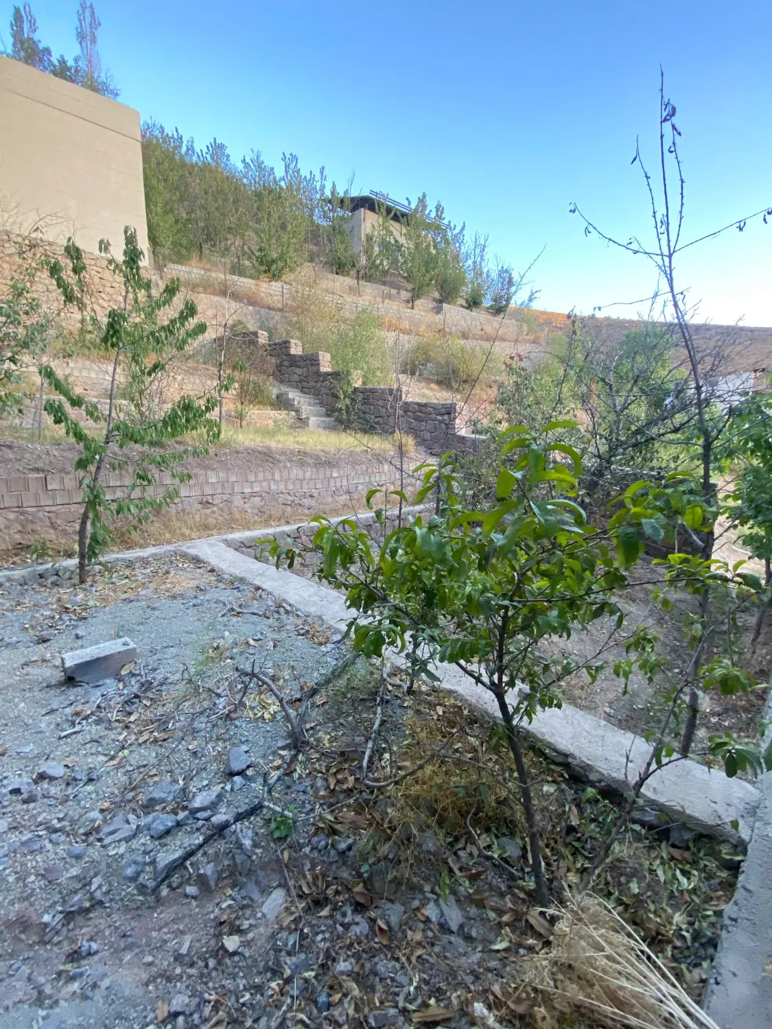 باغچه در لواسان