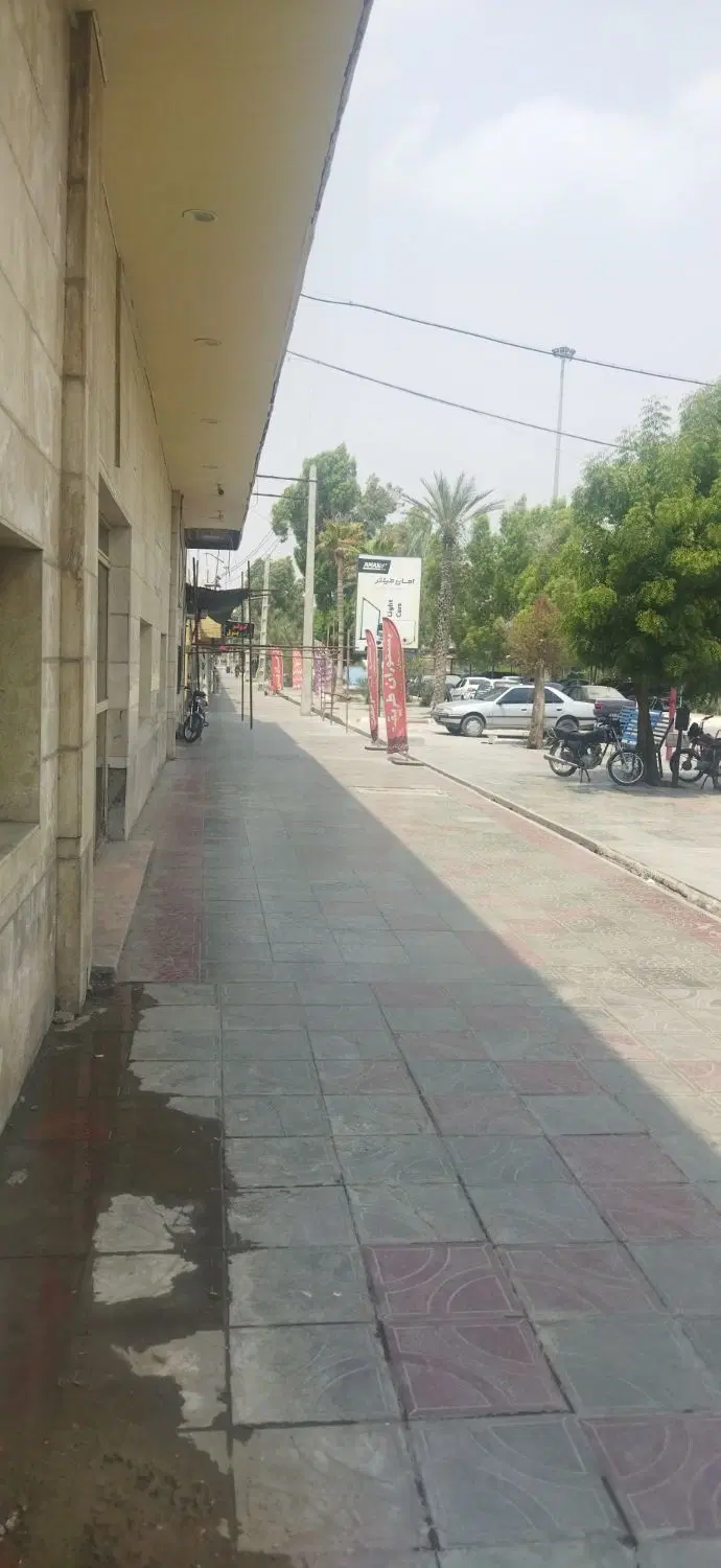 هم خونه