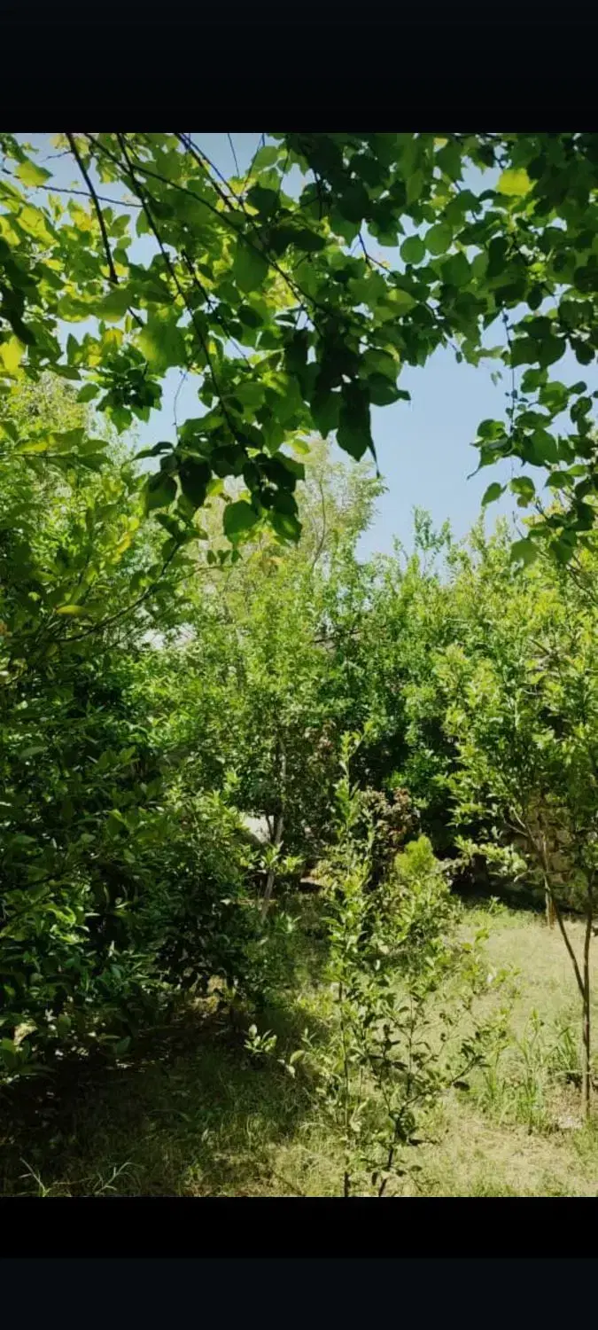 باغ در مرند دیزج حسین بیگ