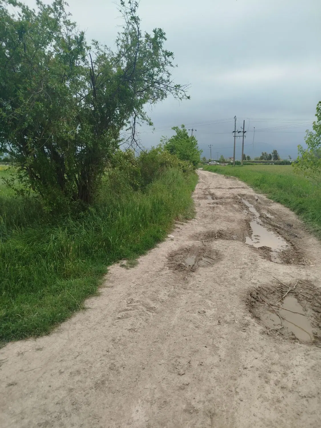 زمینی به متراژ ۲هزار مترمربع