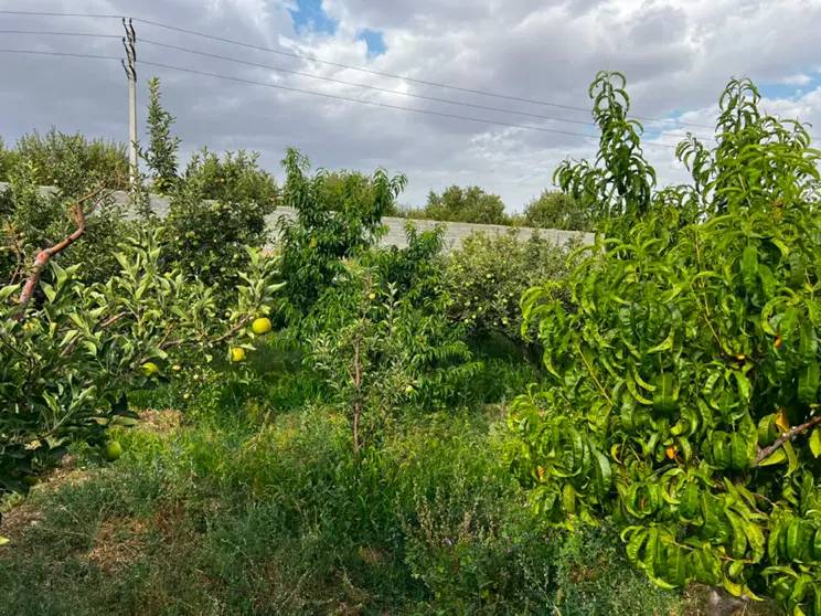 فروش ویژه زمین ویلا دماوند سرمایه گذاری پرسود