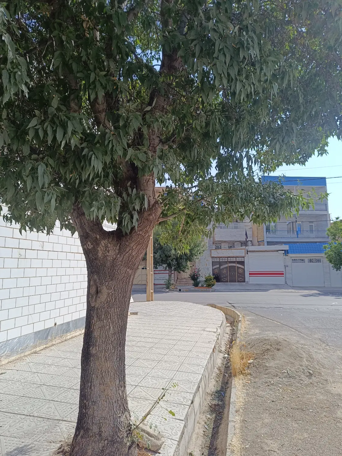 اجاره پارکینگ