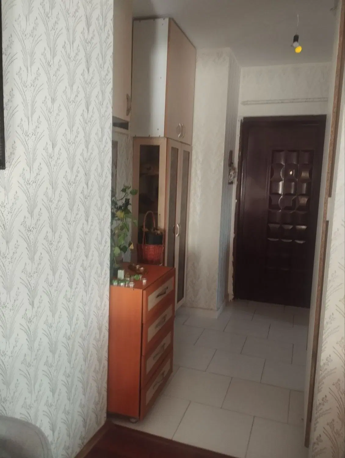 کوزو۵ سه خواب