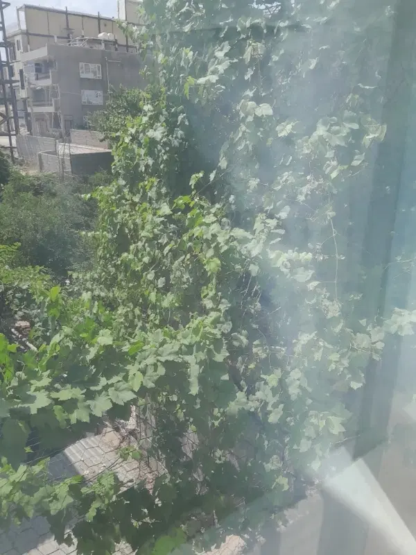 اجاره خانه نوروز آباد