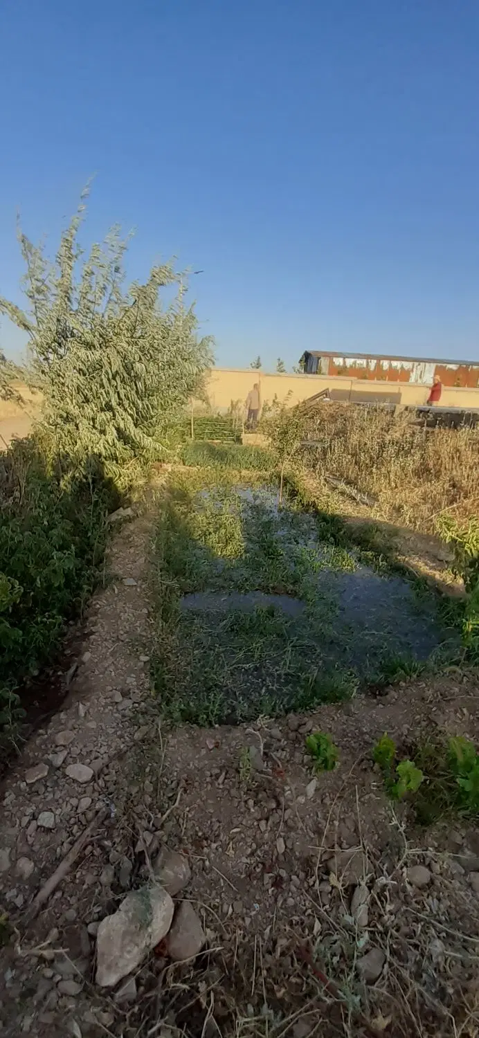 فروش باغ ویلا